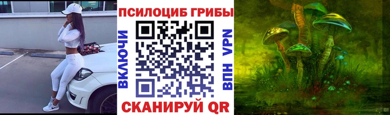 купить наркотик  мориарти телеграм  Псилоцибиновые грибы Psilocybe  Оханск 